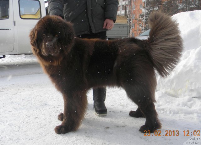 Фотография № 117638