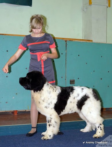 Фотография № 117647