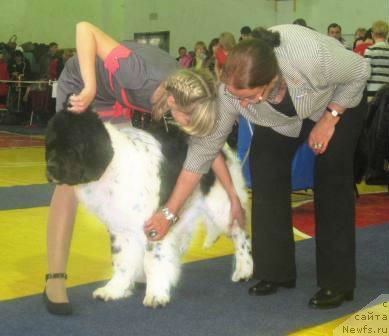 Фотография № 117649