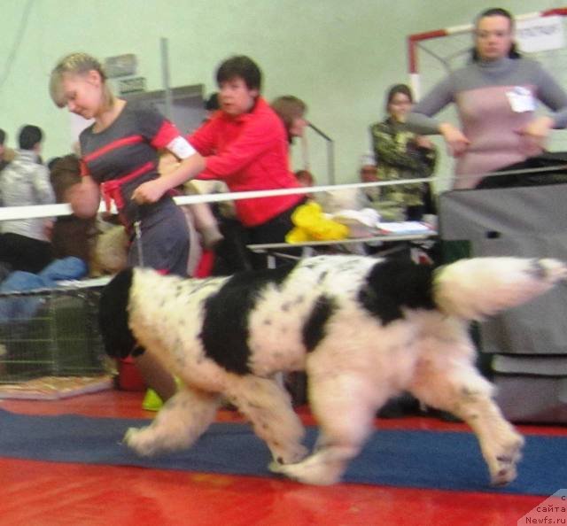 Фотография № 117650