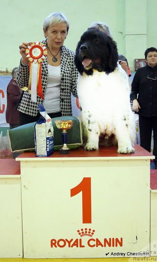 Фотография № 117652