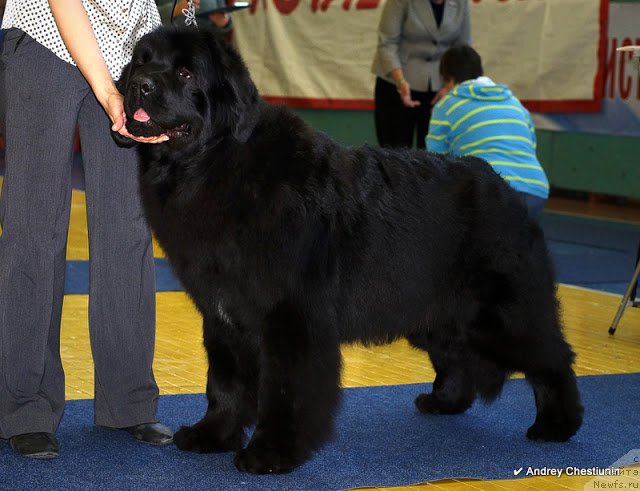 Фотография № 117657