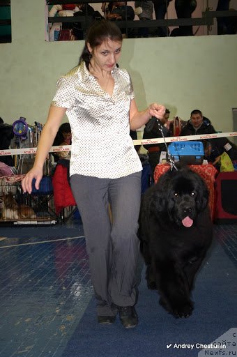 Фотография № 117658