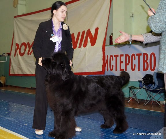 Фотография № 117662