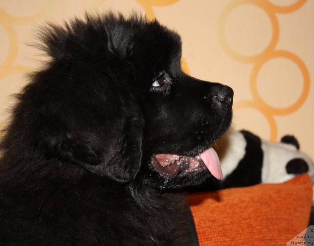 Фотография № 117666