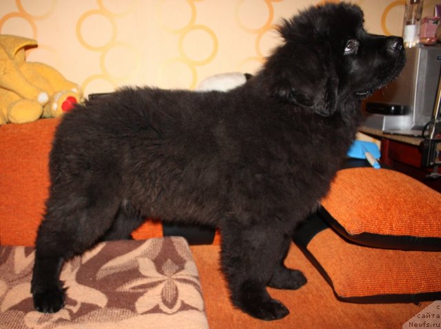 Фотография № 117667