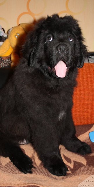 Фото: Кара Аюлар Wind of Changes