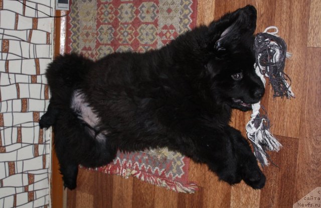 Фото: Кара Аюлар Wind of Changes