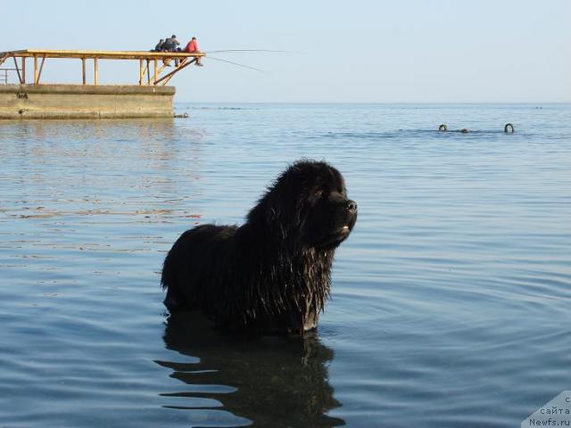 Фотография № 11773