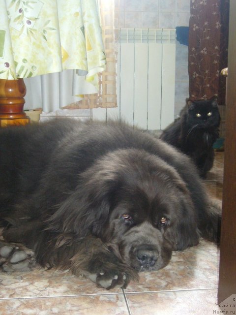 Фотография № 117743