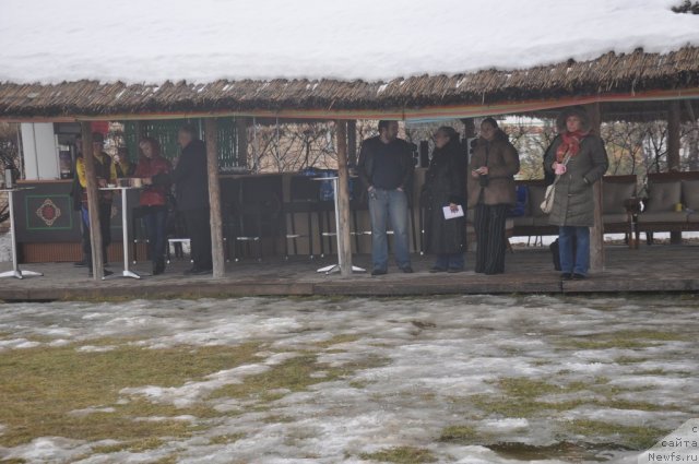 Фотография № 117759