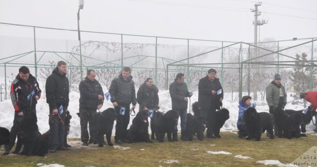 Фотография № 117760