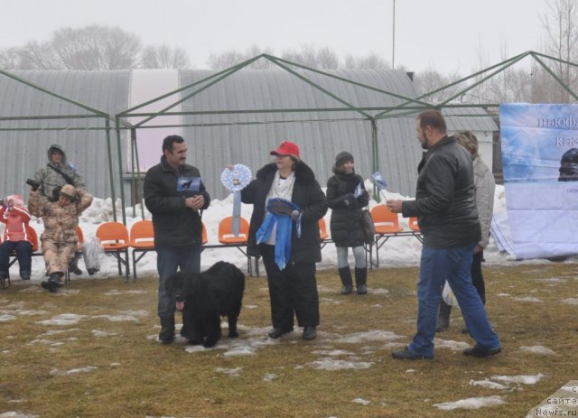 Фотография № 117762