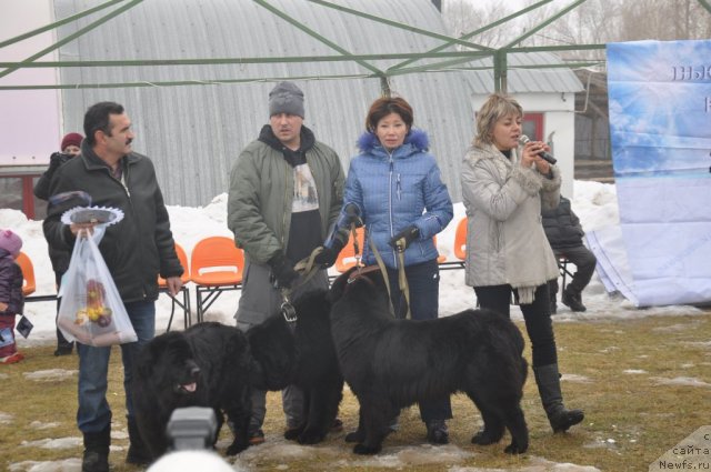 Фотография № 117794