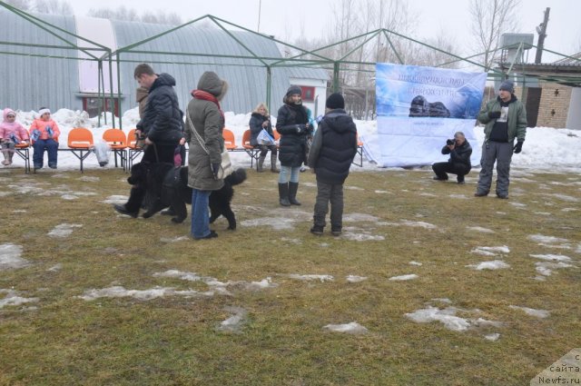 Фотография № 117802