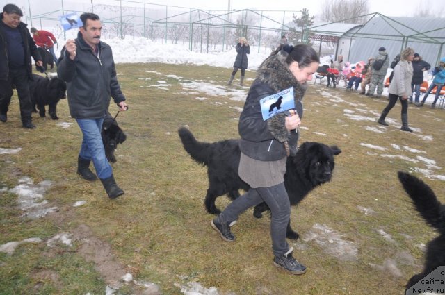 Фотография № 117806