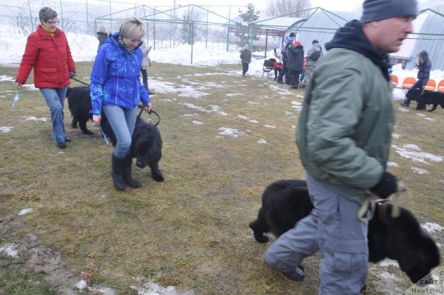 Фотография № 117807