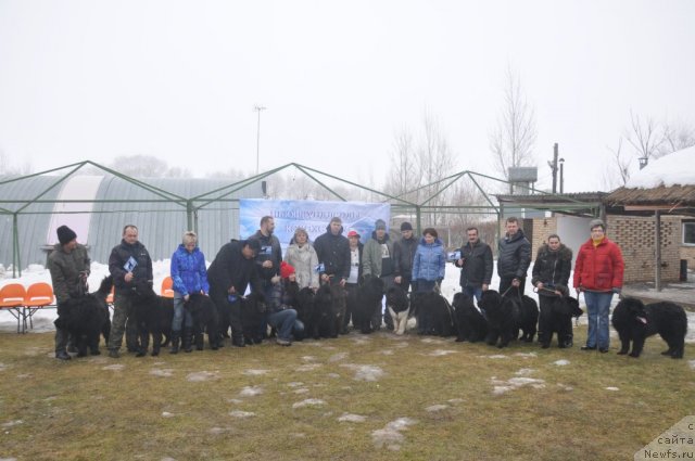 Фото: ньюфаундленд Tusa (Туса), Вожди Атлантиды Варвара, Дудкинский, Власова И., Бархат Ночи Беатрис, панина Валентина, Мальта, Блан де Блан Вин дэ Спейс, Юсупова И., Граф, Санникова Е., Жак-Арчибальд, Рудецких О., Жак-Марта, Смышляева И., Балу Сын звезды, Тимофеев В., Бостон, Аухадиев Мукан, Гектор, Мурат, YUriy SHipilov (Юрий Шипилов), ньюфаундленд Vom Waterfall Land Ay Dag (Вом Ватерфалл Лэнд Аю Даг), ньюфаундленд Kara Ayular Archibal'd Kul Boy (Кара Аюлар Арчибальд Кул Бой), ньюфаундленд Super Premium Zhritsa Zvezd (Супер Премиум Жрица Звезд), ньюфаундленд Djoker (Джокер), Marina Turapina (Марина Турапина), Natal'ya Pavlyuk (Наталья Павлюк), Maksim Poltarak (Максим Полтарак), Saule Ibraeva (Сауле Ибраева)