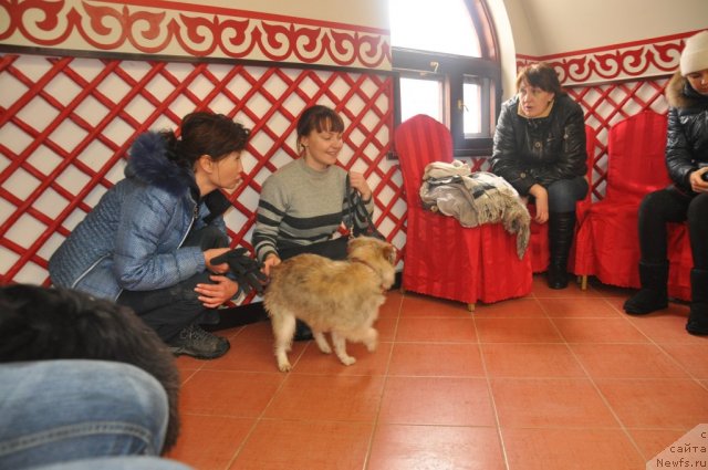 Фотография № 117813