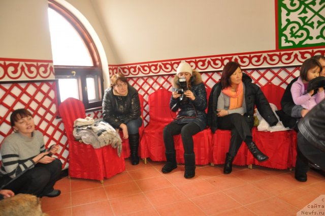 Фотография № 117814