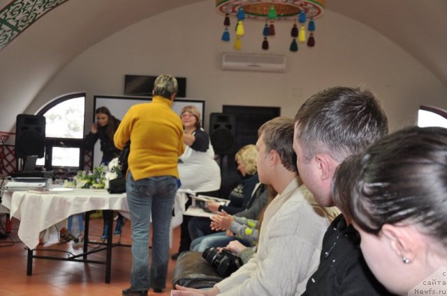 Фотография № 117821