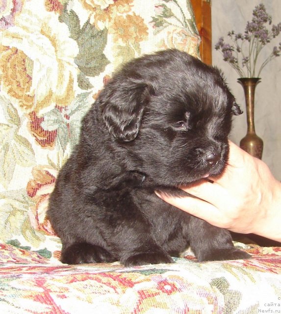 Фотография № 117830