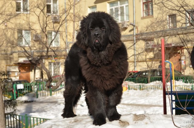 Фотография № 117875