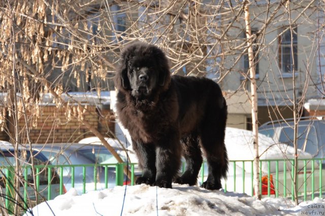 Фотография № 117877