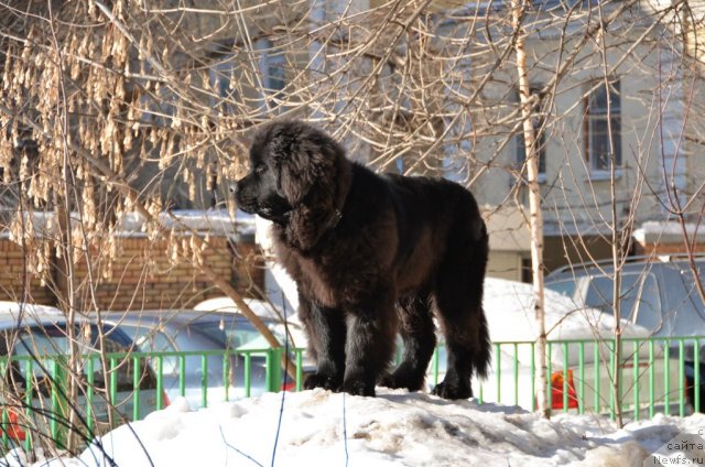 Фотография № 117878