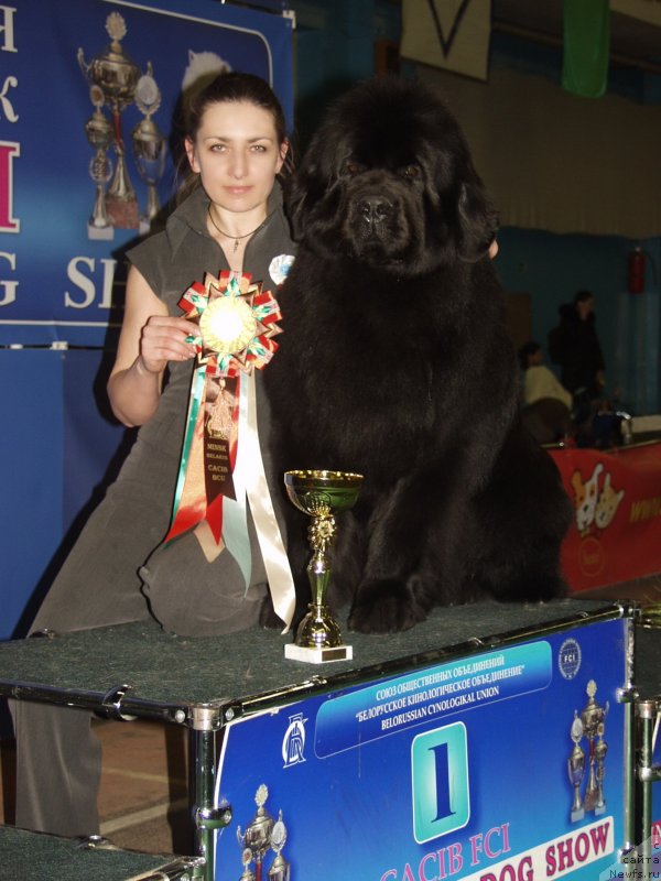 Фотография № 117937