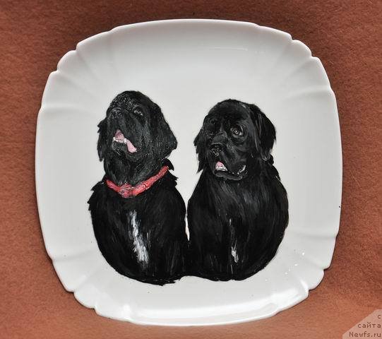 Фото: ньюфаундленд Arh B'yuti Odri Vol'naya Ptica (Арх Бьюти Одри Вольная Птица), ньюфаундленд Fiamettahauz Nusakan (Фиаметтахауз Нусакан)