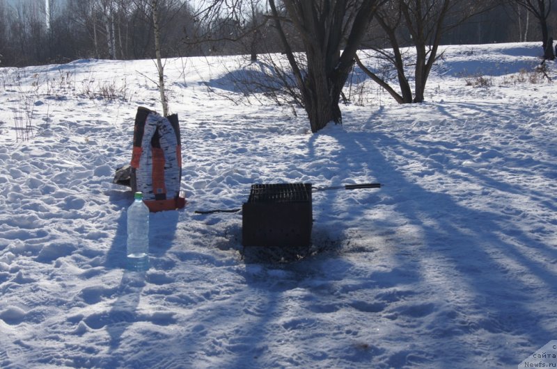 Фотография № 117959