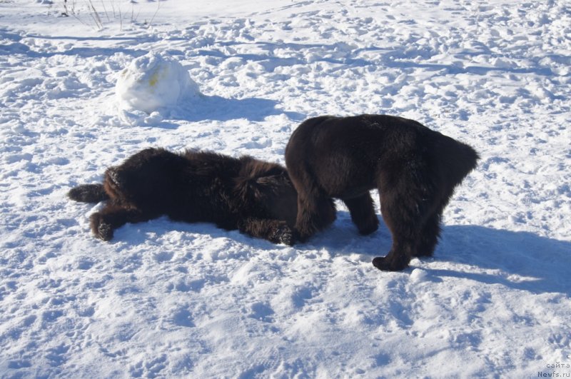 Фотография № 117960