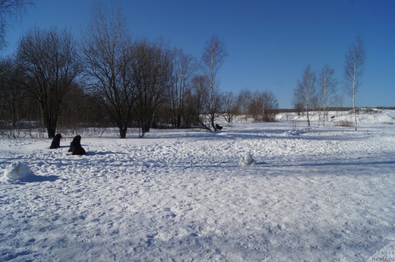 Фотография № 117962