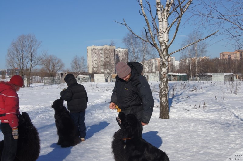 Фотография № 117968