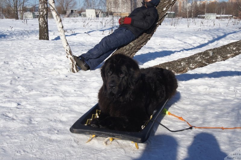 Фотография № 117972