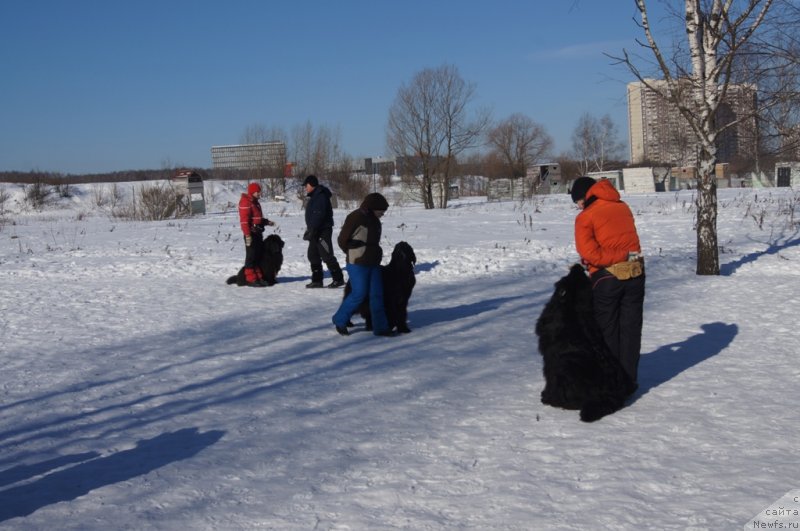 Фотография № 117974