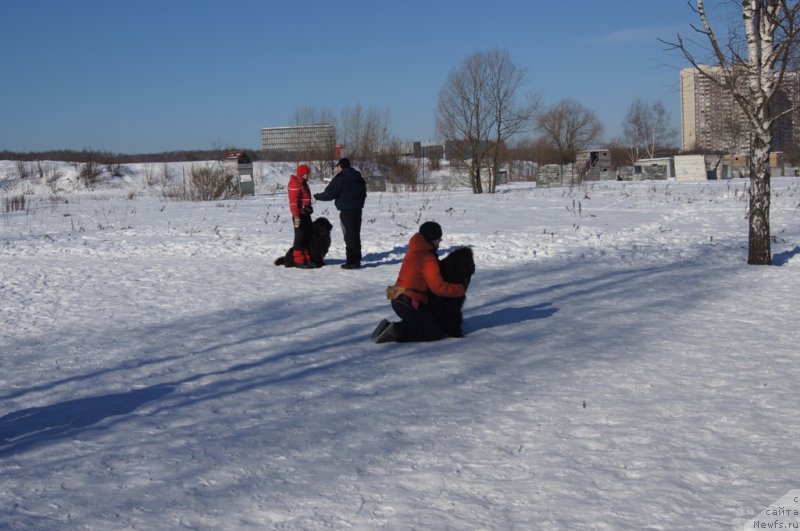 Фотография № 117976