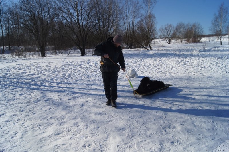 Фотография № 117981