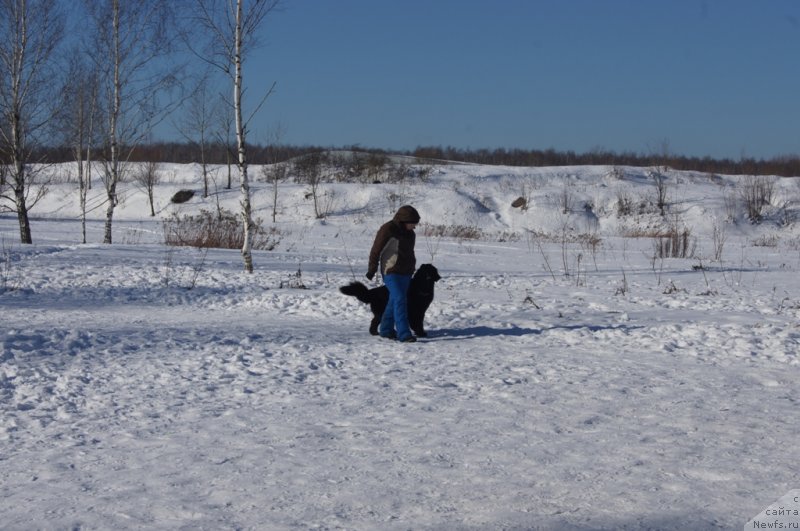 Фотография № 117983