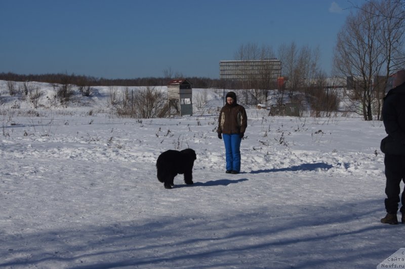 Фотография № 117988