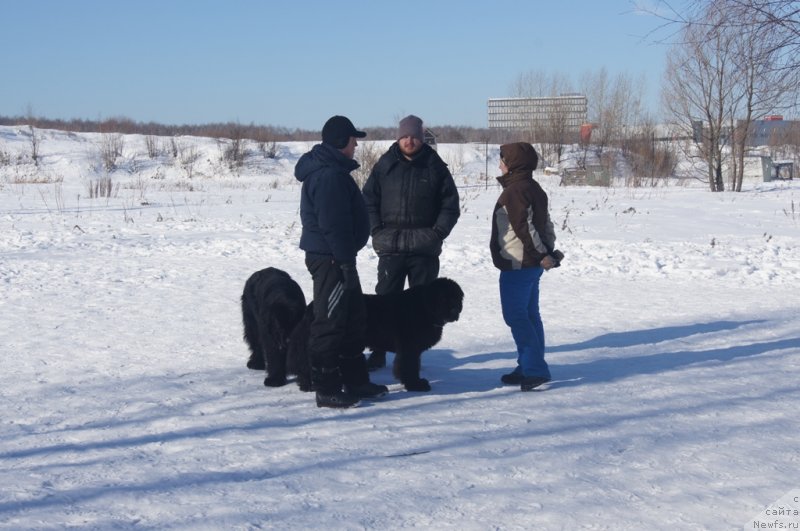 Фотография № 117989