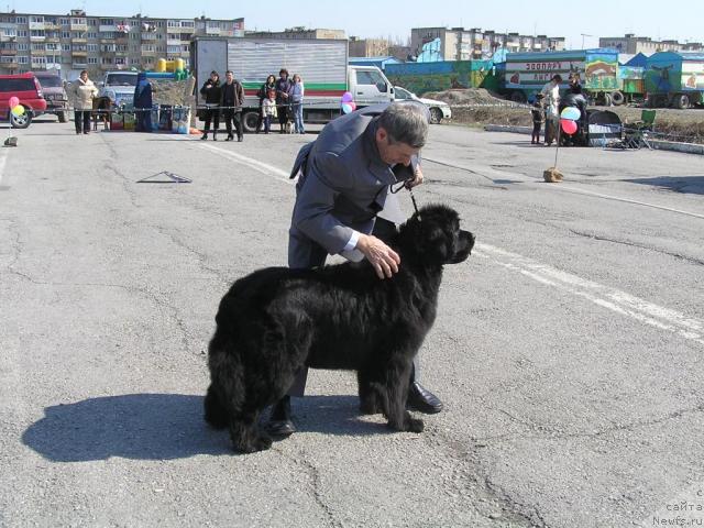 Фотография № 11799