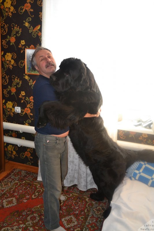 Фотография № 117997