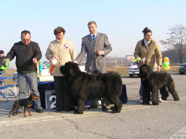 Фотография № 11804