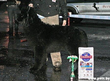 Фотография № 11807