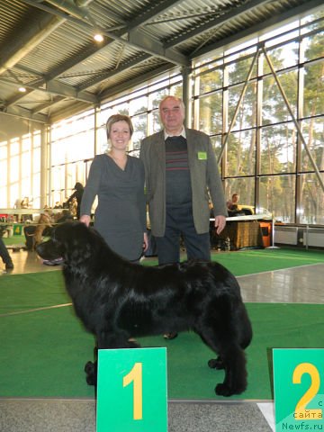 Фотография № 118085