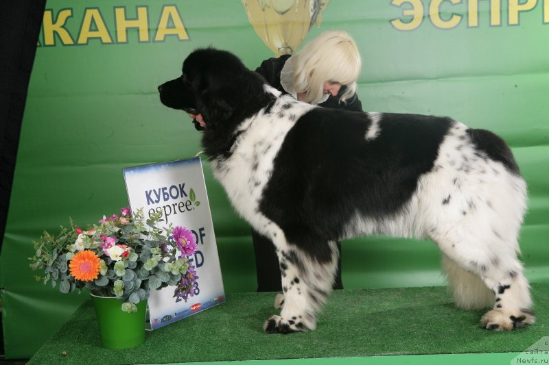 Фотография № 118128