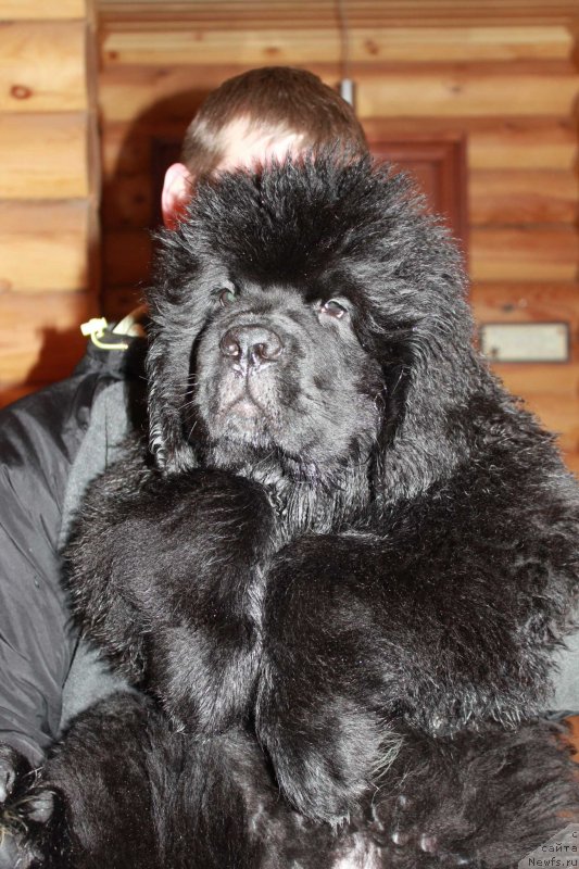 Фотография № 118141