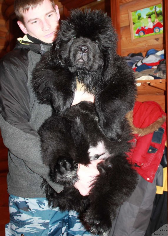 Фотография № 118144